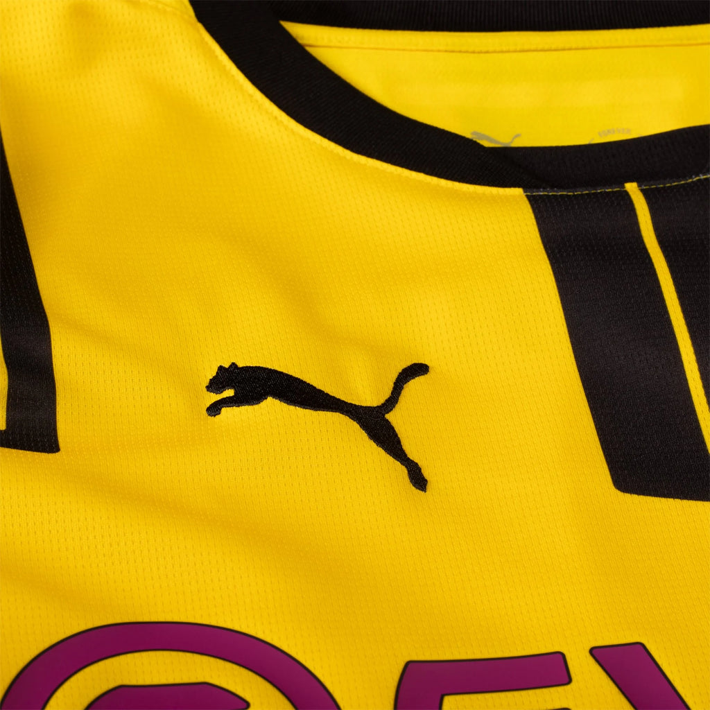 Men's Replica Borussia Dortmund Cup Jersey 24/25
