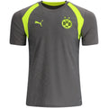 Borussia Dortmund Training Jersey 4 26/27 Grey