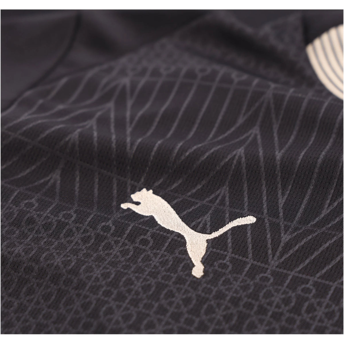 Men's Replica Borussia Dortmund Long Sleeve Special Edition Jersey 2026 Black