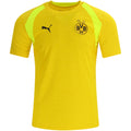 Borussia Dortmund Training Jersey 4 26/27 Yellow