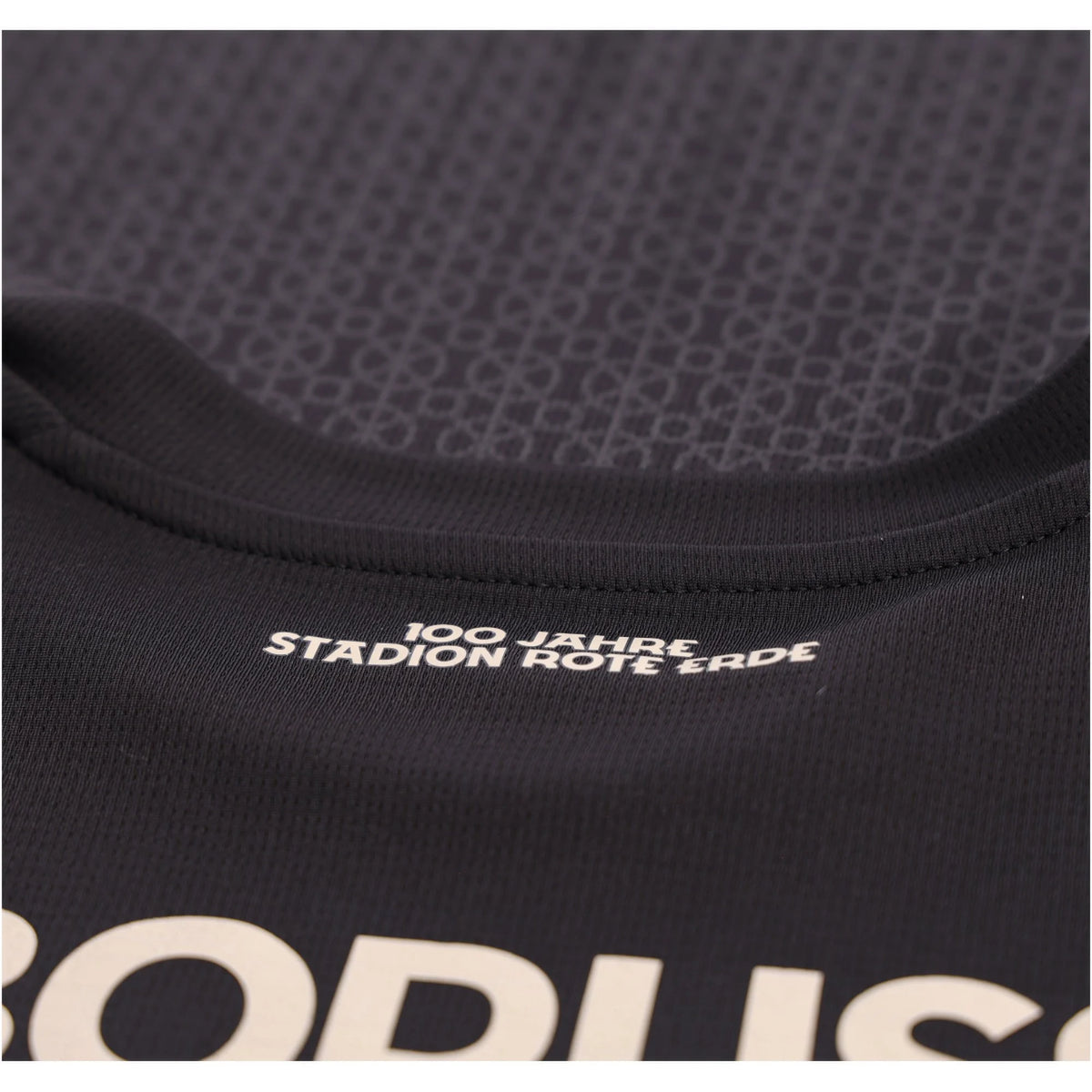 Men's Replica Borussia Dortmund Long Sleeve Special Edition Jersey 2026 Black