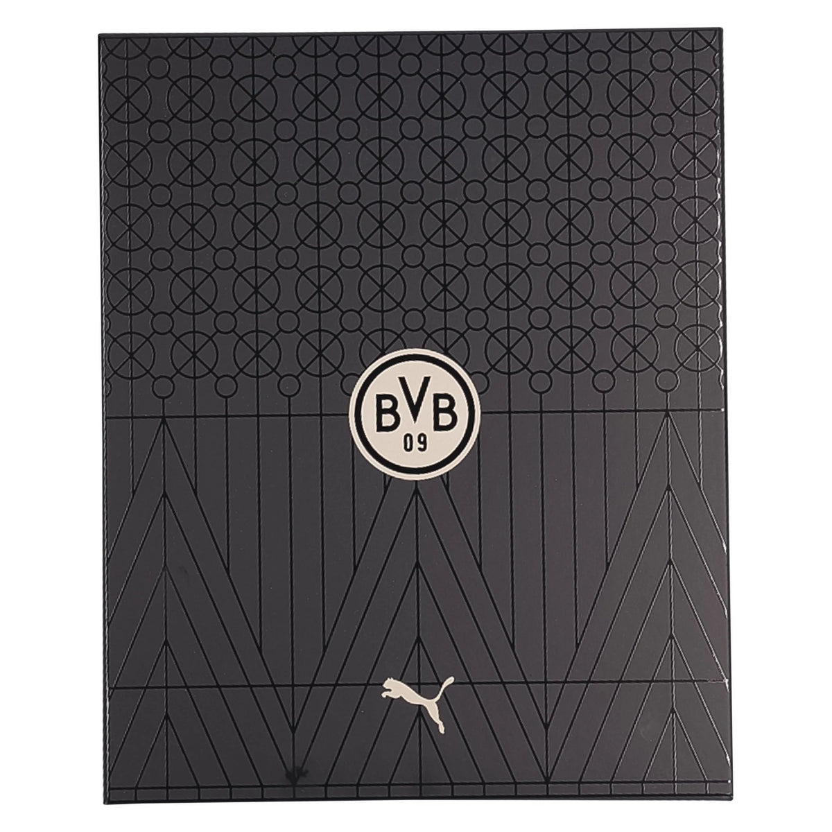Men's Replica Borussia Dortmund Special Edition Jersey 2026 Black