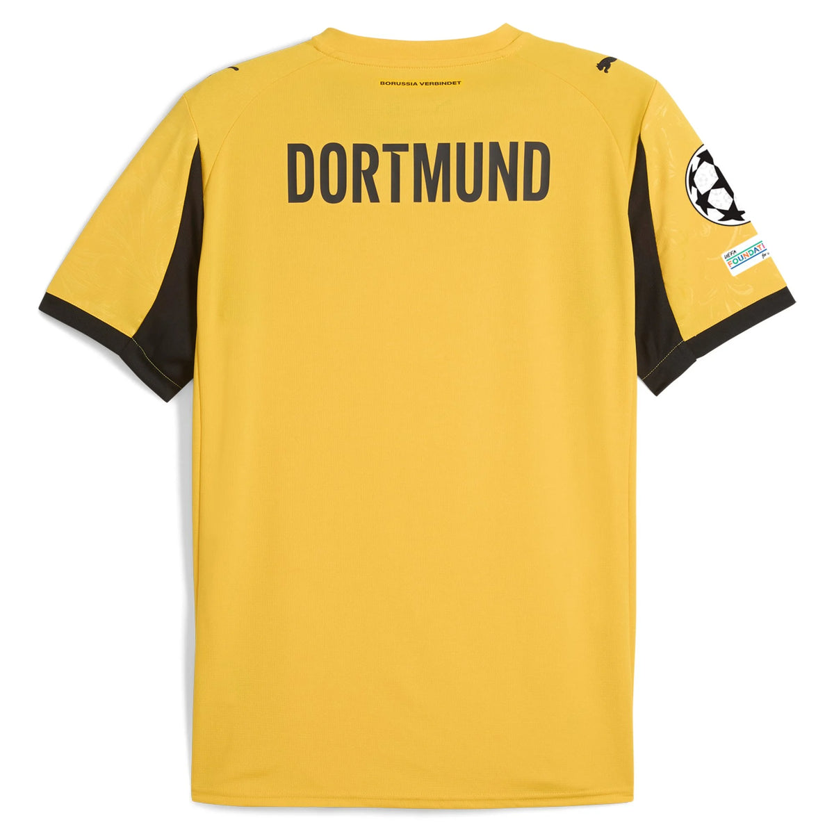 Men's Replica Borussia Dortmund Cup Jersey 25/26 UCL