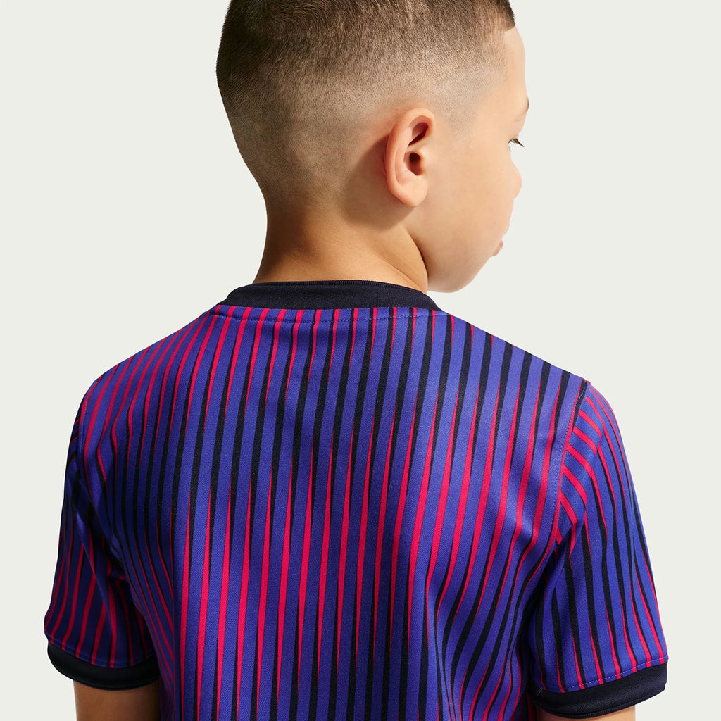 Paris Saint-Germain Youth Pre Match Training Jersey 2 26/27