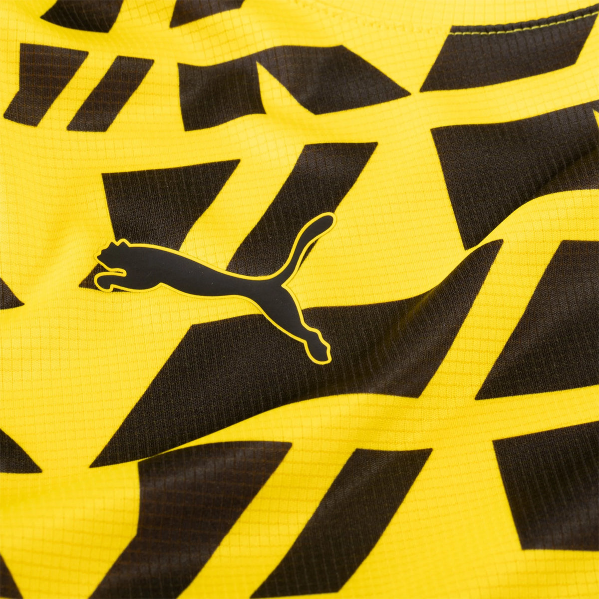 Borussia Dortmund Pre Match Training Jersey 1 25/26