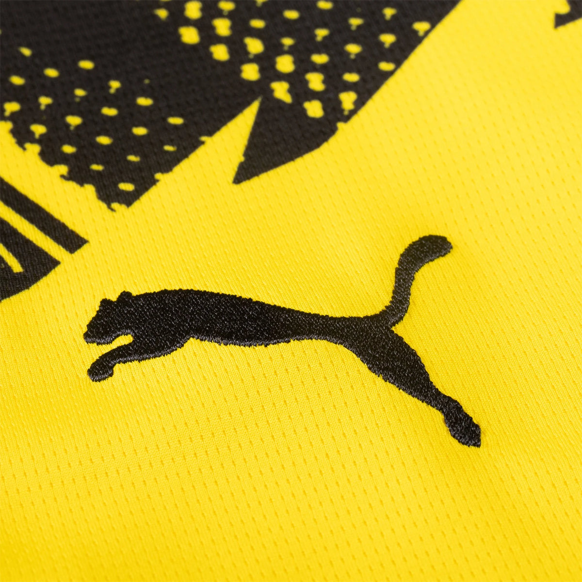Men's Replica Borussia Dortmund Home Jersey 25/26
