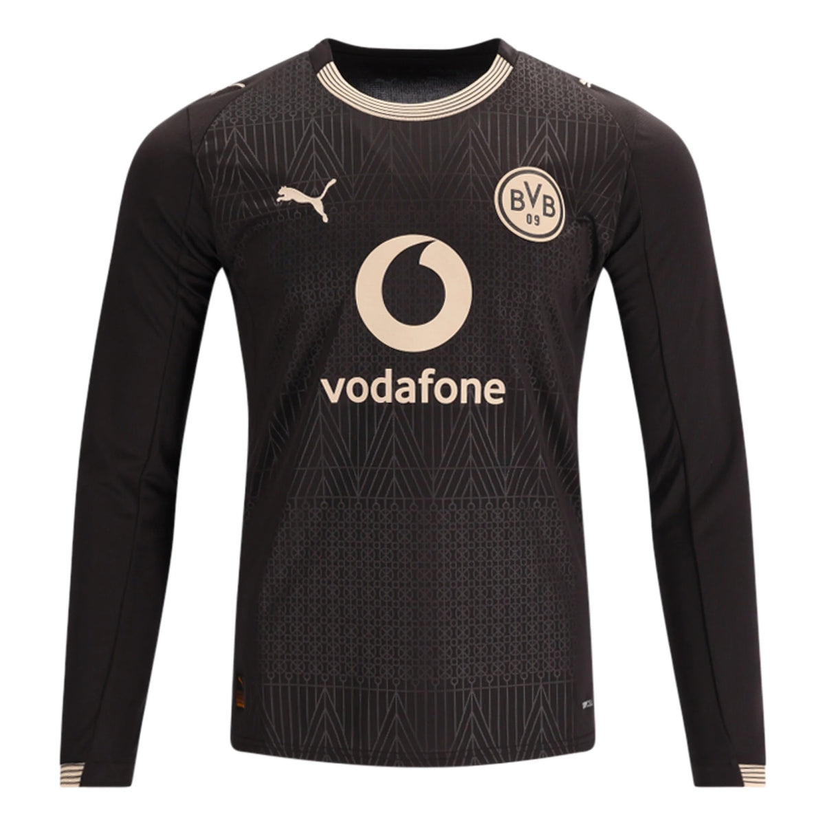 Men's Replica Borussia Dortmund Long Sleeve Special Edition Jersey 2026 Black